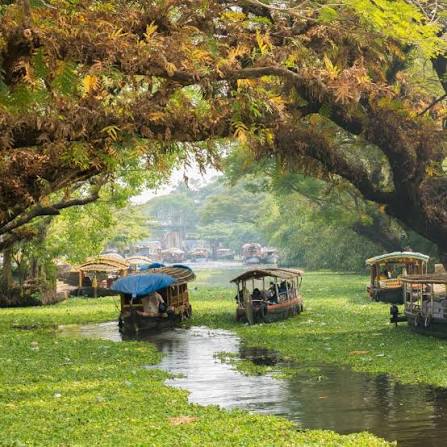 Kerala backwaters