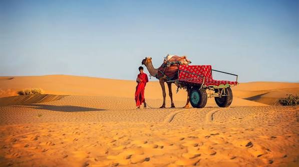 Rajasthan royal heritage